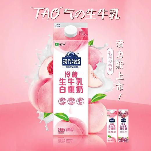 蒙牛现代牧场冷藏生牛乳白桃奶 商品图0