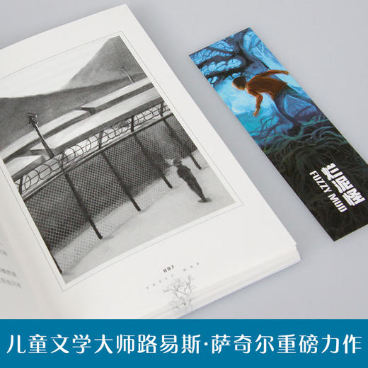 《烂泥怪》 商品图1