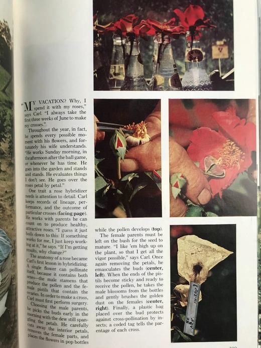 1972年下半年合订本 国家地理杂志 约千幅彩色插图 精装16开 商品图5