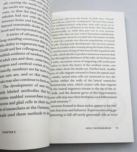 神经可塑性 MIT新概念丛书 英文原版 Neuroplasticity 知识读本 英文版进口原版英语书籍 商品图1