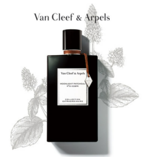 月光广藿|夜幕下的深情絮语