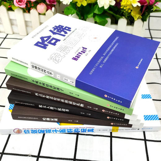 【优惠套装】现货6册樊登推荐你就是孩子最好的玩具+如何说好孩子才能听正面管教哈佛家训 哈佛凌晨四点半教育孩子书籍 商品图3