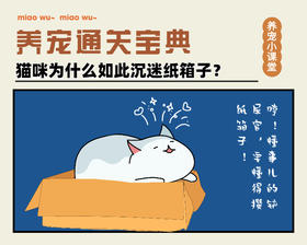 纸箱子里到底有什么？让喵沉迷且无法自拔