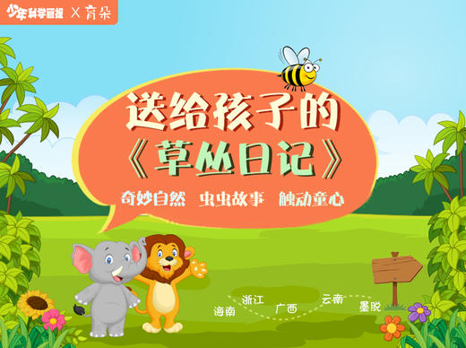 草丛日记 商品图0