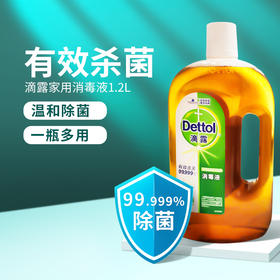 滴露消毒液1.2L