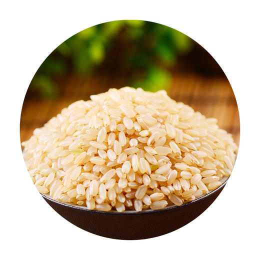 黑龙江米妹妹五常糙米1kg 商品图2