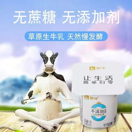 蒙牛不添加蔗糖风味酸牛奶 商品图2