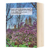 深度学习 英文原版 Deep Learning 计算机科学与人工智能 英文版进口原版英语书籍 商品缩略图0