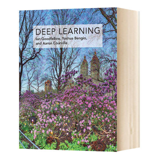 深度学习 英文原版 Deep Learning 计算机科学与人工智能 英文版进口原版英语书籍 商品图0