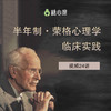 【半年制·荣格心理学临床实践】Murray Stein亲授 | 视频24讲 商品缩略图0