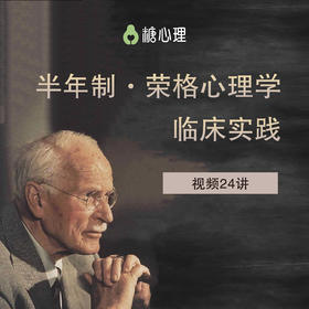 【半年制·荣格心理学临床实践】Murray Stein亲授 | 视频24讲