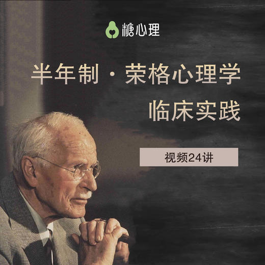 【半年制·荣格心理学临床实践】Murray Stein亲授 | 视频24讲 商品图0