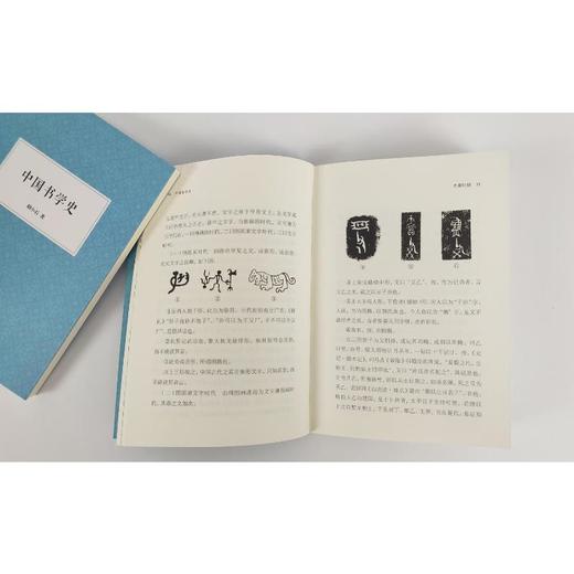 中国书学史 商品图3