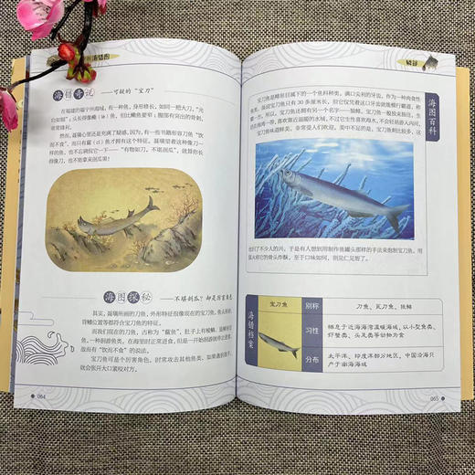 画给孩子的海错图 青少版故宫海错图笔记博物自然海洋生物动物大百科历史书小学生儿童启蒙书绘本科学科普书籍故宫里的海洋博物馆 商品图2