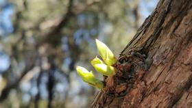 人应怎样度过春天才不算辜负呢?