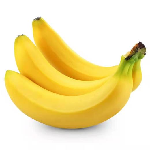 香蕉 商品图0