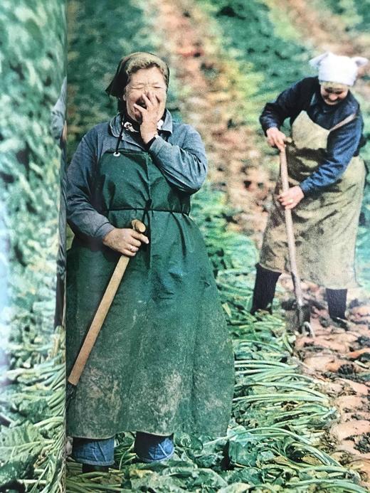 1974年下半年合订本 国家地理杂志 约千幅彩色插图 精装16开 商品图5