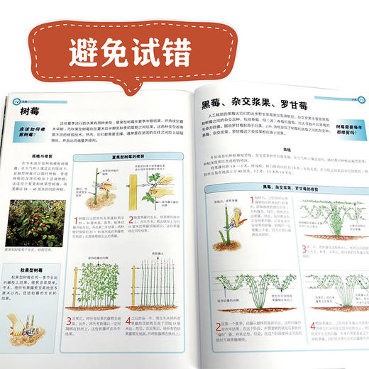 庭要素 剪枝——庭院常见植物修剪 商品图4