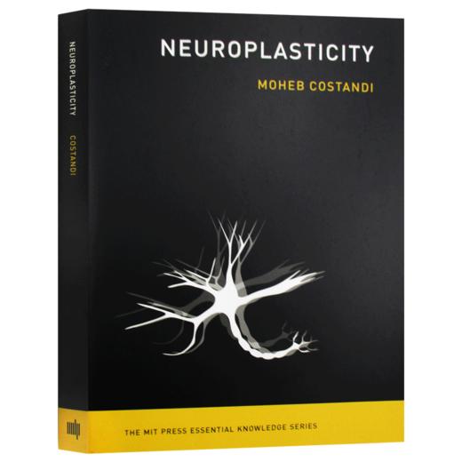 神经可塑性 MIT新概念丛书 英文原版 Neuroplasticity 知识读本 英文版进口原版英语书籍 商品图3