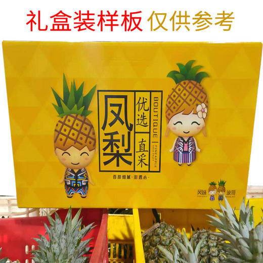 【产地直发】海南金钻凤梨3/5/8斤装 优质产区---GP 商品图5