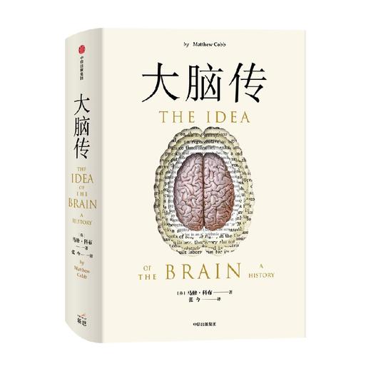 大脑传 马修科布 著 陈嘉映作序 中文通俗脑科学全史 神经系统 脑功能 人工智能 神经元 中信出版 商品图2