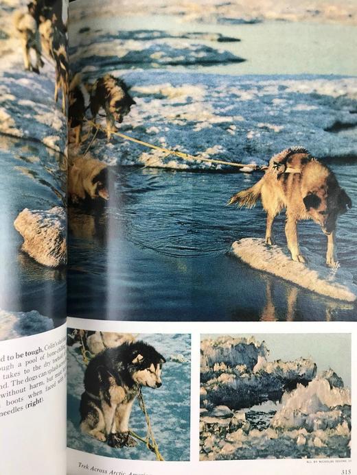 1974年上半年合订本 国家地理杂志 约千幅彩色插图 精装16开 商品图6