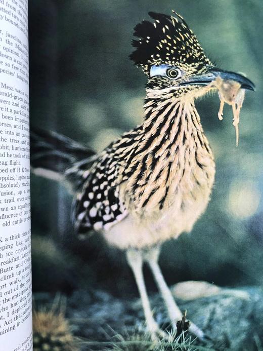 1974年上半年合订本 国家地理杂志 约千幅彩色插图 精装16开 商品图11