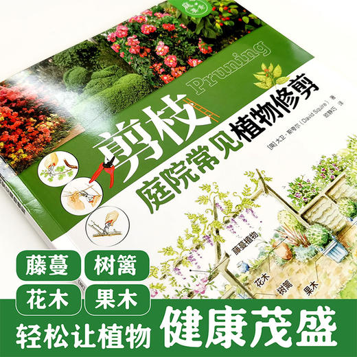 庭要素 剪枝——庭院常见植物修剪 商品图2