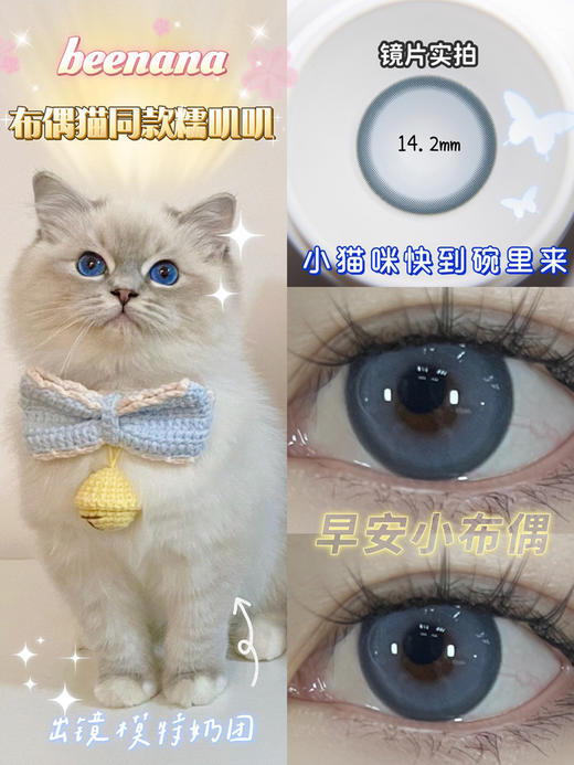 半年抛beenana早安小布偶  直径14.2mm着色13.4mm 750余1/850缺货 其余度数现货发货快 商品图6