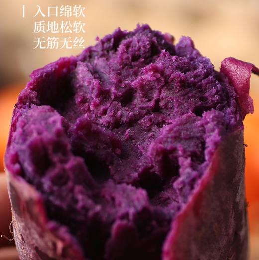 甄源|广西紫薯3斤5斤单果小果50-150g中果150-300g大果300g+粗粮代餐不长脂肪 商品图5
