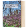 深度学习 英文原版 Deep Learning 计算机科学与人工智能 英文版进口原版英语书籍 商品缩略图1
