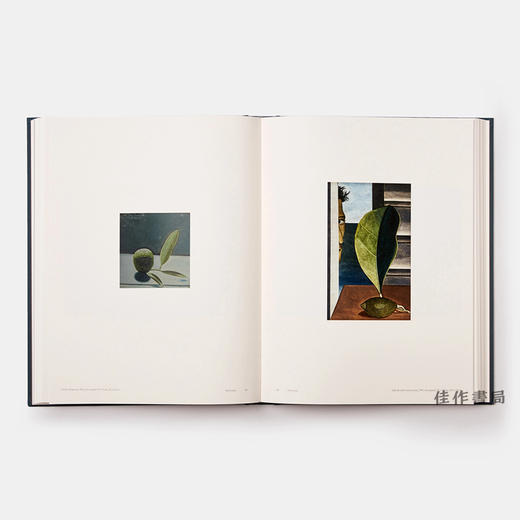 【全新现货】 Lucian Freud  卢西安·弗洛伊德（两卷本） 商品图3