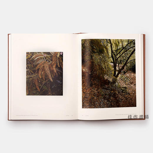 【全新现货】 Lucian Freud  卢西安·弗洛伊德（两卷本） 商品图4