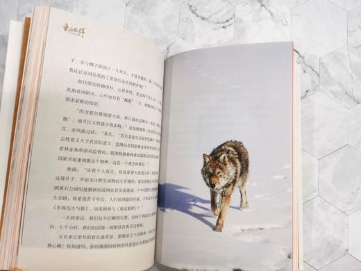 重返狼群背后的故事 商品图3
