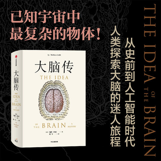 癌症传+基因传+大脑传（套装3册） 马修科布等 著 通俗脑科学 基因的发现 破解生命的奥秘 中信出版 商品图2