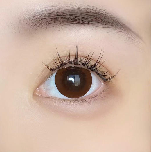 【小红书推荐款】yeelens，C12 brown，日抛/直径14.5/着色14.0，68/盒128/2盒228/4盒548/10盒，需佩戴工具请备注 商品图6