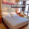 【专业酒店享受】升级四季款希尔顿酒店艾草kang菌夹棉床笠 商品缩略图2