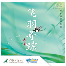 【重庆自然博物馆】飞羽寻踪：园博园单飞版