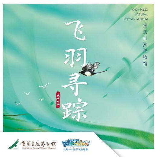【重庆自然博物馆】飞羽寻踪：园博园单飞版 商品图0