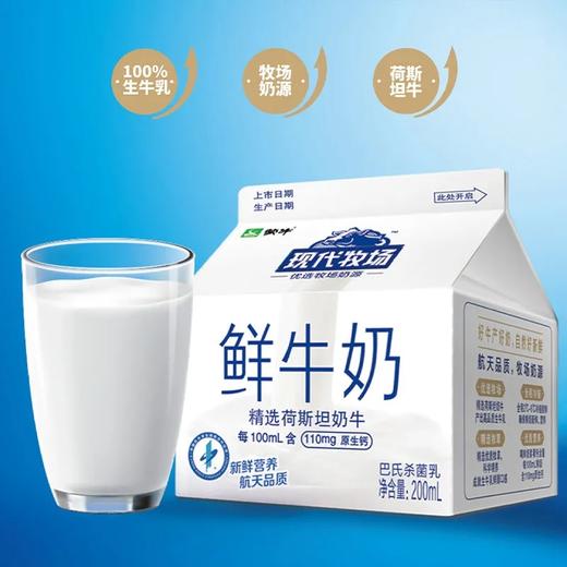 蒙牛现代牧业鲜牛奶200ml 商品图0