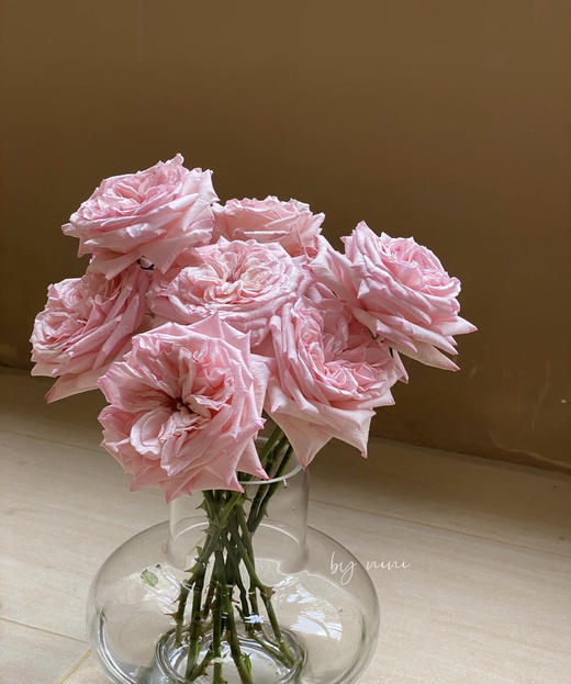 【拍市玫瑰】粉荔枝 10枝/扎  约60公分 商品图7