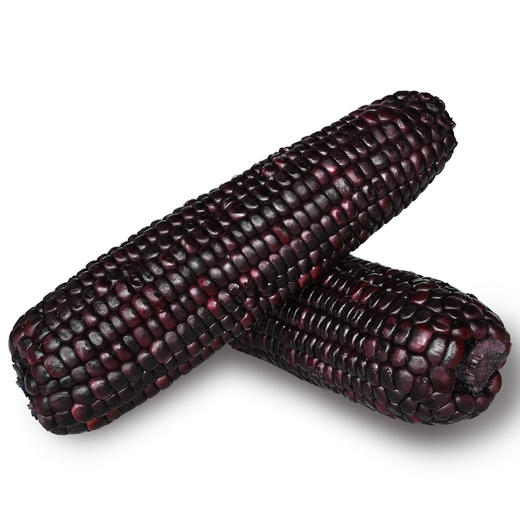 【食品酒水】-香糯黑玉米白玉米黄玉米真空保鲜玉米棒 商品图0