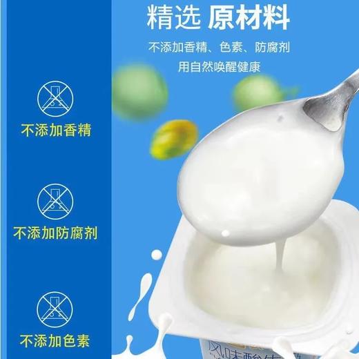 蒙牛原味风味酸牛奶160g 商品图1