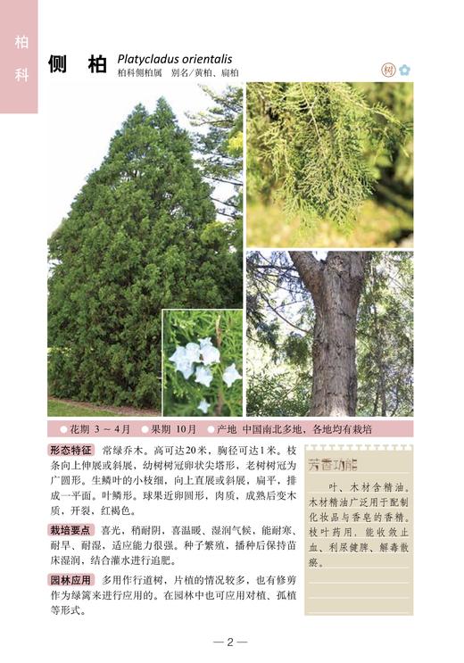 300种芳香植物识别图鉴【中国农业出版社官方正品】 商品图1