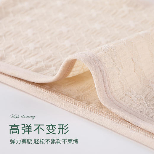 洁丽雅内裤女高腰舒适透气高弹安全裤玻尿酸裆女士平角裤 商品图5