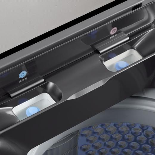 小天鹅9KG波轮洗衣机 超微净泡洗 DDM变频电机 龙旋风水流TBM90PMU06DT 商品图2