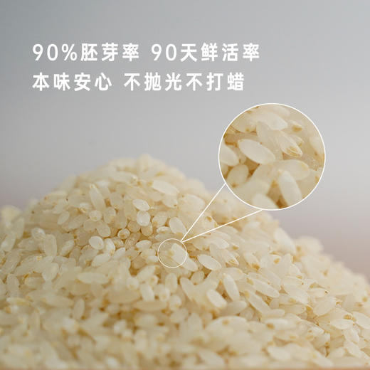 香畴元气胚芽米 自然农法种植 500g/袋 商品图1