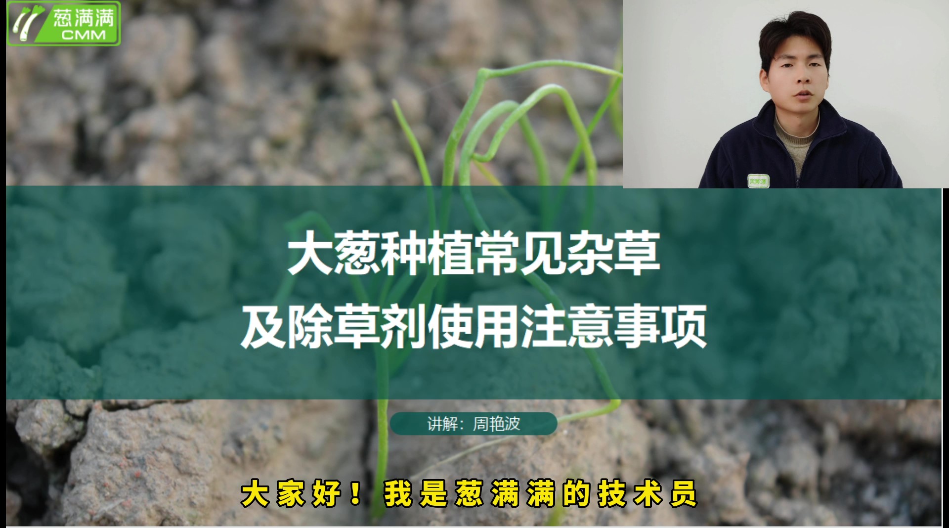 大葱常见杂草及除草剂注意事项