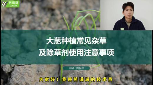 大葱常见杂草及除草剂注意事项 商品图0