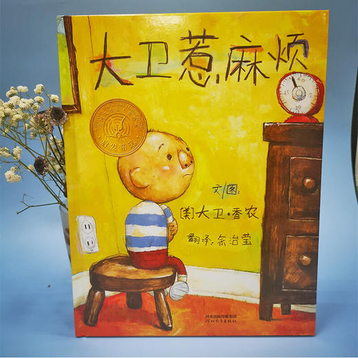 大卫不可以绘本系列全套3册大卫惹麻烦+大卫不可以+大卫上学去硬壳精装 商品图5